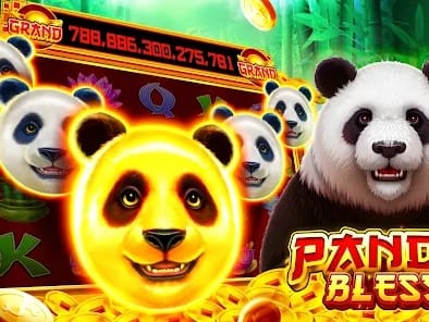 Live casino gaming display